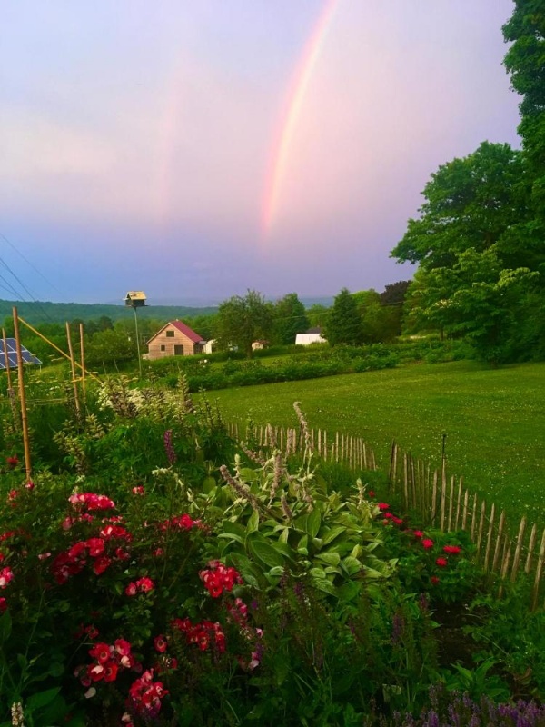 Enfield Manor Bed&Breakfast and Vacation Rental image 15